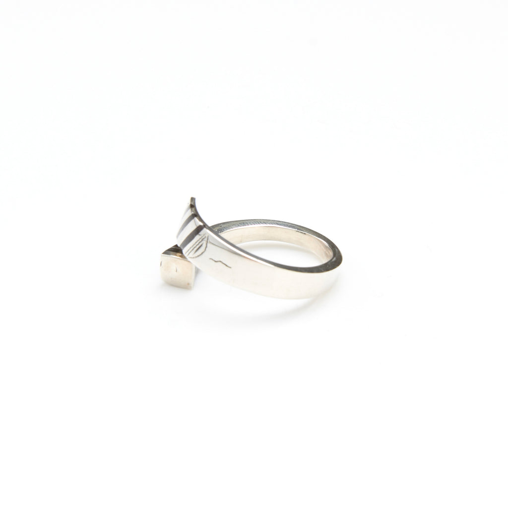 Tbrorri Tissght /Flat タブルーリ ティサット | Adawat'n Tuareg